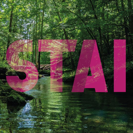 Sito web promozione turistica STAi Stella Boschi Laguna